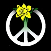 CND Cymru yw'r Ymgyrch dros Ddiarfogi Niwclear Cymreig. CND Cymru is the Wales Campaign for Nuclear Disarmament. https://t.co/vz81OV503K