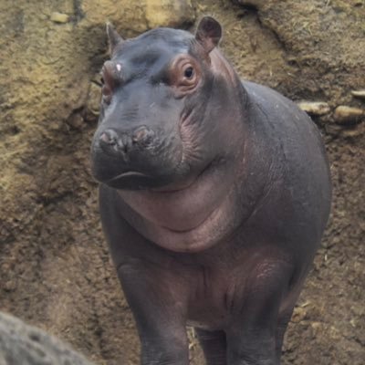 _maxperry's profile picture. i am max