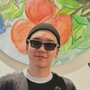 she/her/they 25+ ~ vip circa 2014 ~ ❣️ | seungri algaes | - ♿️