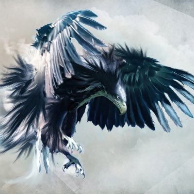 samurai23 Profile