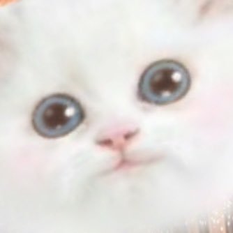 yss_eighter_'s profile picture. 取引アカウント