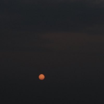 pengwei21559690's profile picture. 