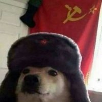 Oskar Scott (@oskar_scott) 's Twitter Profile