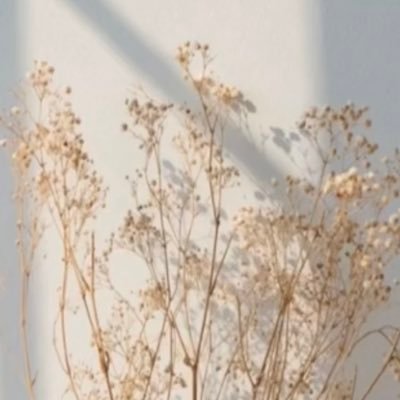 komotaipo's profile picture. 