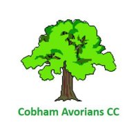Cobham Avorians CC(@Avorians) 's Twitter Profile Photo