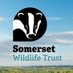 Somerset Wildlife Trust (@SomersetWT) Twitter profile photo