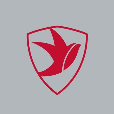 Cheltenham Town Women - @FAWNL Southern Premier Division | #CIA 🔴⚪⚽️