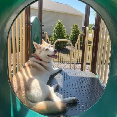 ZackPang1's profile picture. Idk