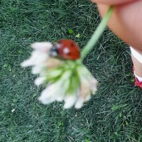 müh. (@mhndsnht) Twitter profile photo