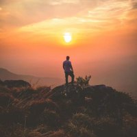 Empoweredevolve (@empoweredevolve) 's Twitter Profile