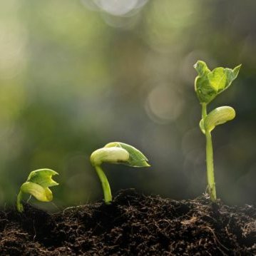 A new cross-party group of parliamentarians in Westminster to promote #agroecology, sustainable food and farming in Parliament.

Secretariat: @realfarming