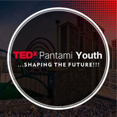 We are on a mission to discover and spread ideas that spark imagination, embrace possibility and catalyze impact. #TEDxPantami