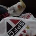Gustavo🇧🇷🇾🇪☭⃠ (@gustavogimlri) Twitter profile photo Gustavo🇧🇷🇾🇪☭⃠ (@gustavogimlri) Twitter profile photo