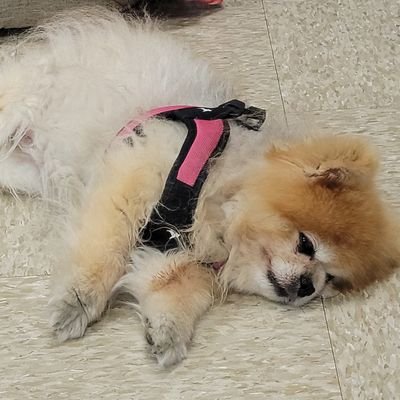 vettech316's profile picture. I'm a vet tech in an animal hospital ..been doing that for over 15 years