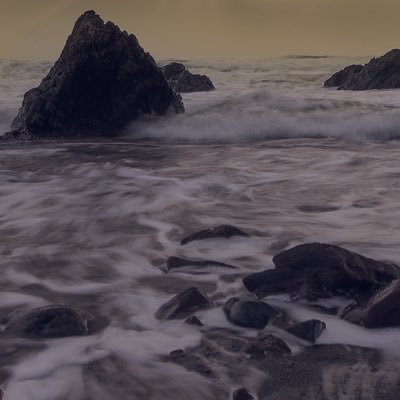 pz_usa's profile picture. 