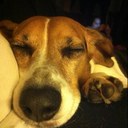 Carrie Dudley - @Carebear0214 - Twitter