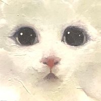 YONCO (よんこ) (@4_yon_fox) 's Twitter Profile Photo YONCO (よんこ) (@4_yon_fox) 's Twitter Profile Photo