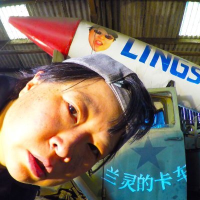 LINGsCARS Profile Picture