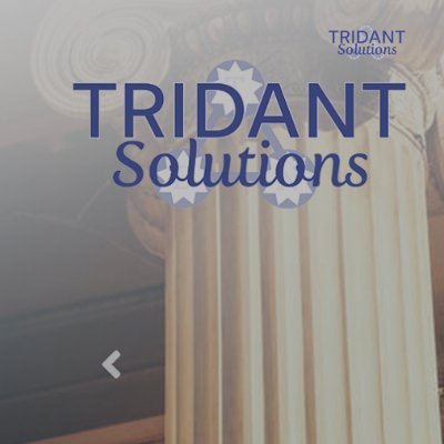 We Established our company in 2005, Tridant Solutions is a professional and management services firm for Military, Federal, and Private clients.