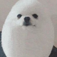 IggyTheGamer (@iggythegamer) 's Twitter Profile