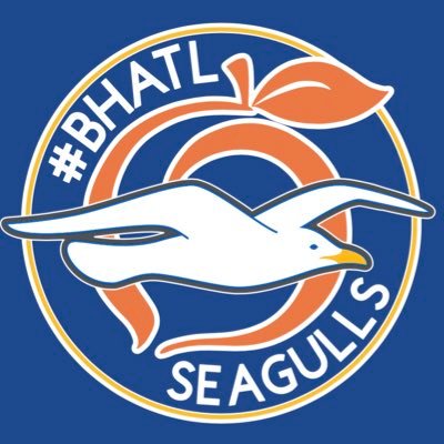 BHATLSEAGULLS Profile Picture