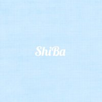 ShiBa(@ShiBa_XLVIII) 's Twitter Profile Photo