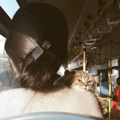 Wundervoll3's profile picture. 