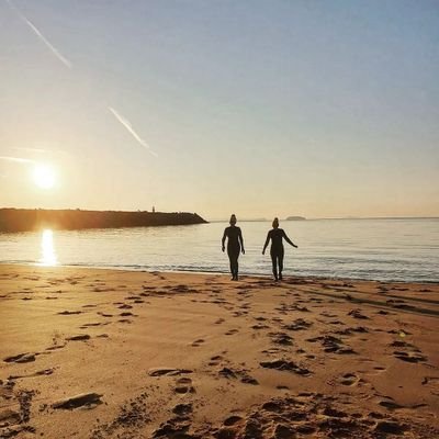 SClemettD's profile picture. 