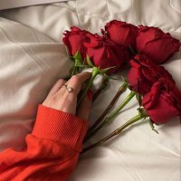 Rana Moh (@ranamoh36) Twitter profile photo