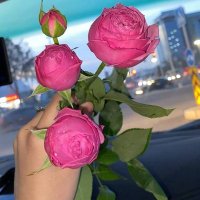 حسناء خالد (@hasnakhaled95) 's Twitter Profile