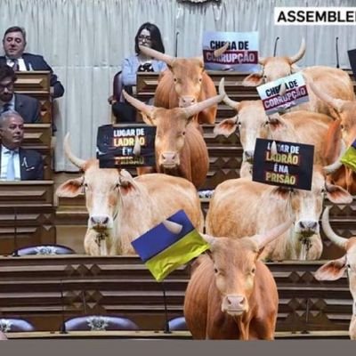 shut8686's profile picture. Money talks bullshit walks. 

Globalista com tendências de nacionalismo económico.