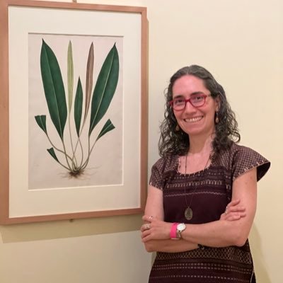 Research Botanist @Brit_org, obsessed with ferns. Natural history collection supporter. Love to teach. Opinions my own #HelechosdeColombia, #FernsofColombia