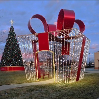 Carpenter Decorating CO., INC is a premier manufacturer of Commercial Holiday Decorations.