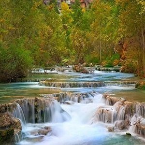 Cheuba128's profile picture. 