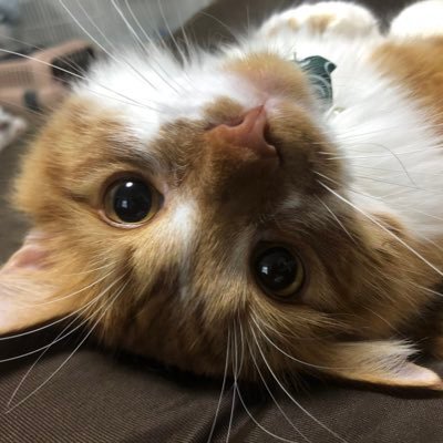 lifestarvista's profile picture. 