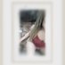 Midget. Dwarf. Zwergin. Naine. Enana (@mimilov65317949) Twitter profile photo Midget. Dwarf. Zwergin. Naine. Enana (@mimilov65317949) Twitter profile photo