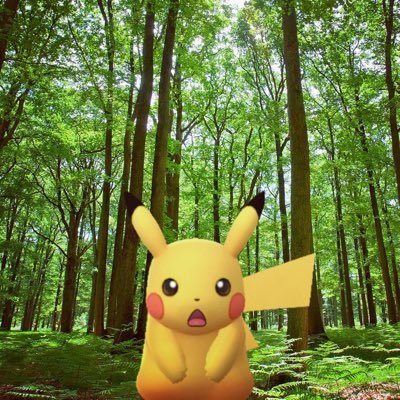 ThyeWeiPing's profile picture. It's behind you.