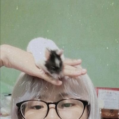 junoさんのプロフィール画像