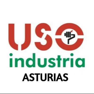 @FedIndUSO de #Asturias del sindicato independiente @USOConfe
#ConstruyendoFuturo con la #industria y los salarios para vivir