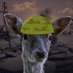 Deer Army Esports (@deerarmyesports) Twitter profile photo Deer Army Esports (@deerarmyesports) Twitter profile photo