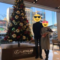 ヒグイ (@ningenbeagle) 's Twitter Profile