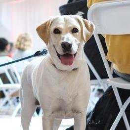 marsw42's profile picture. 