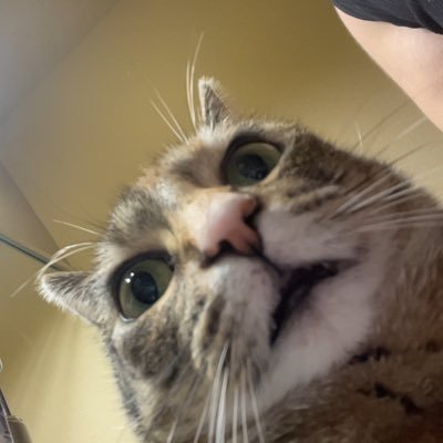 ritzcracker6969's profile picture. 