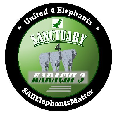 Ger #Sanctuary4Karachi3 🐘🐘🐘さんのプロフィール画像