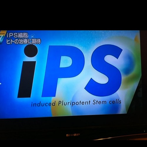 Sience2011's profile picture. 