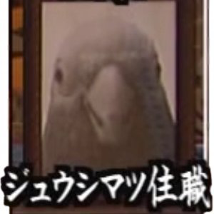 jyushimatsu14_'s profile picture. スズメ目カエデチョウ科。ChatGPT？ 知らん知らん。