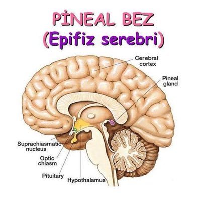 Sorgula,araştır,oku,düşün! Günümüzdeki müminlerin eksiklikleri! Dinimize daha güncel olaylar ve tespitlerle yaklaşıyoruz. Yitirilen değerleri hatırlatıyoruz.