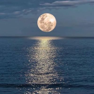 junior1977cr7's profile picture. Have fun