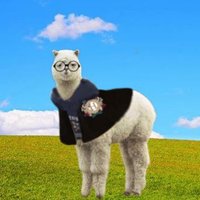 ๋ค์นด๋ฅด Dakar๐ฆ๐ฆ (@dakarloud) 's Twitter Profile Photo ๋ค์นด๋ฅด Dakar๐ฆ๐ฆ (@dakarloud) 's Twitter Profile Photo
