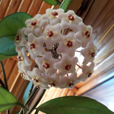 dersu_erdogan's profile picture. 92 staj mağduru